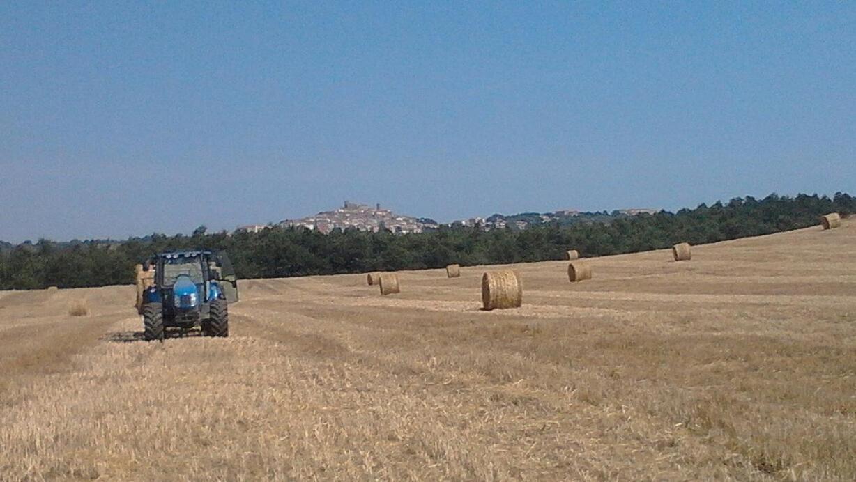 הוילה מנצ'יאנו Il Laghetto Agriturismo מראה חיצוני תמונה